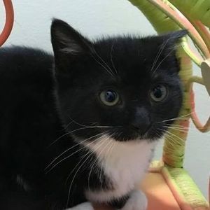 Meet your Posher, Deborah